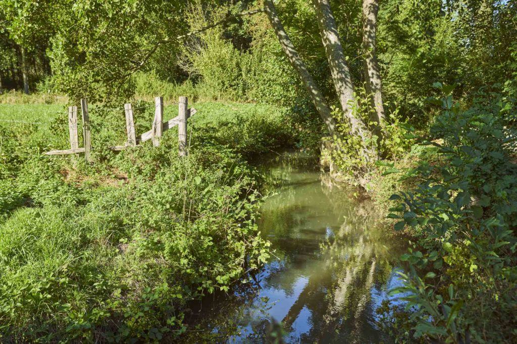 La rivière l'étangsort traverse le village de Saint Georges de la Couée - Tourisme en Sarthe