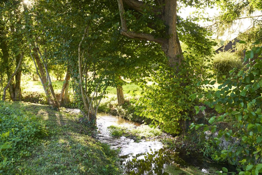 La savonnière rivière à Saint Fraimbault - Tourisme vert Sarthe